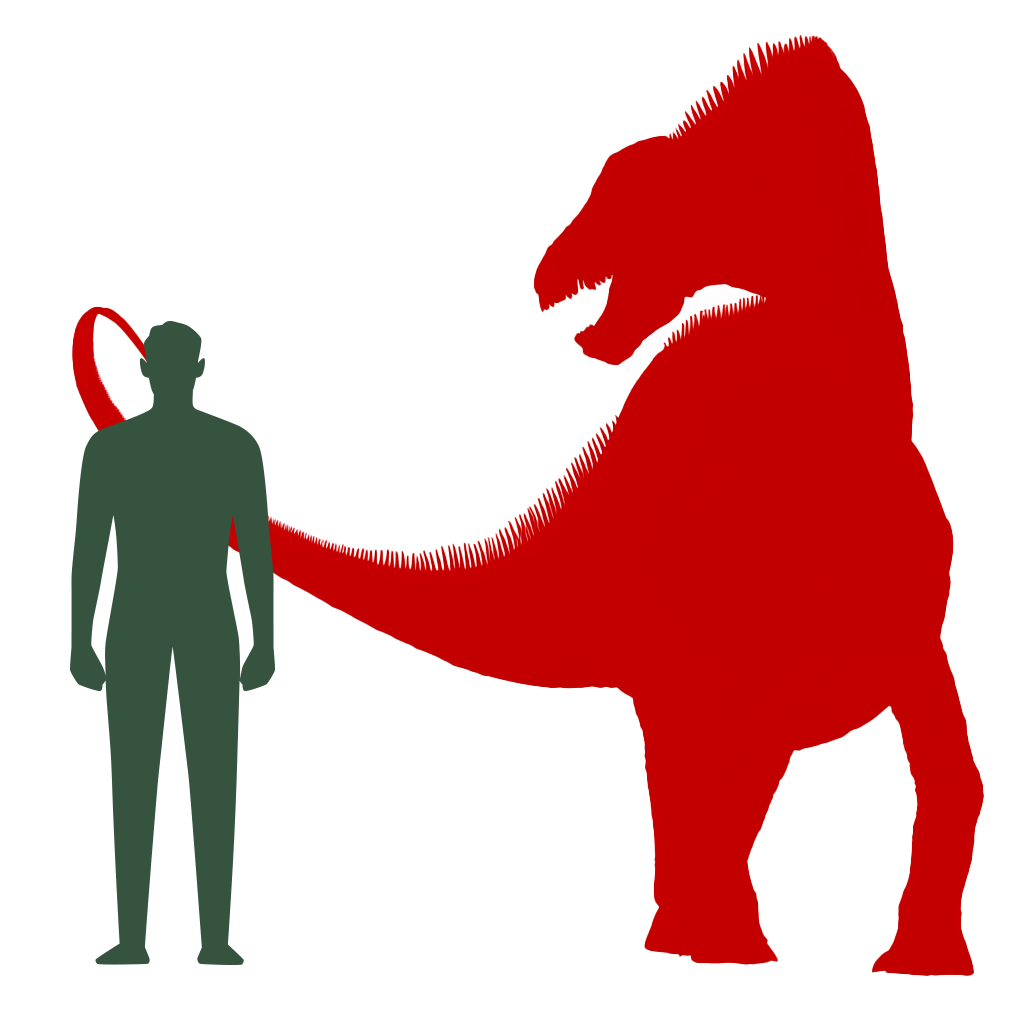 Size Comparison of Dino to a human