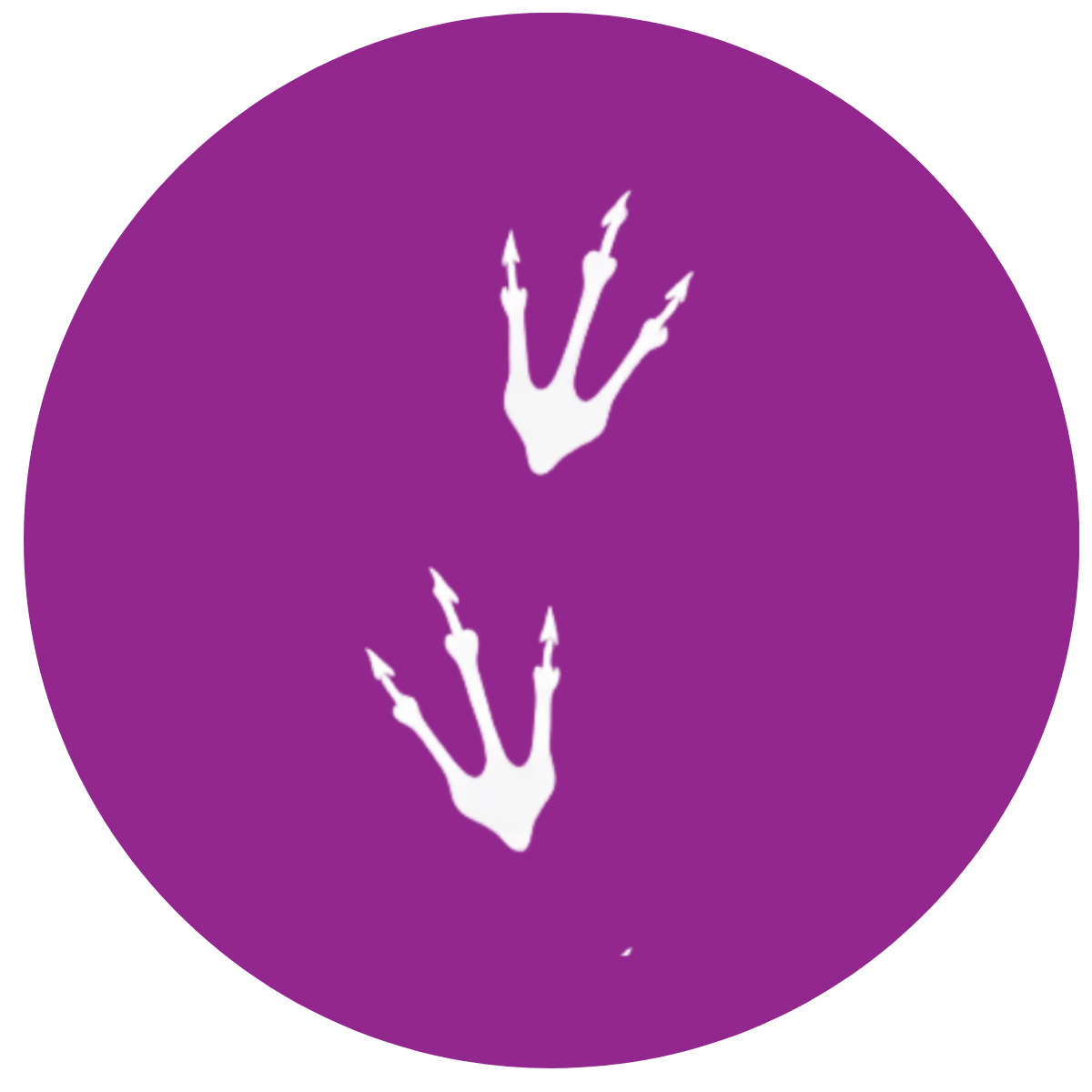 The footprints of this dinosaur