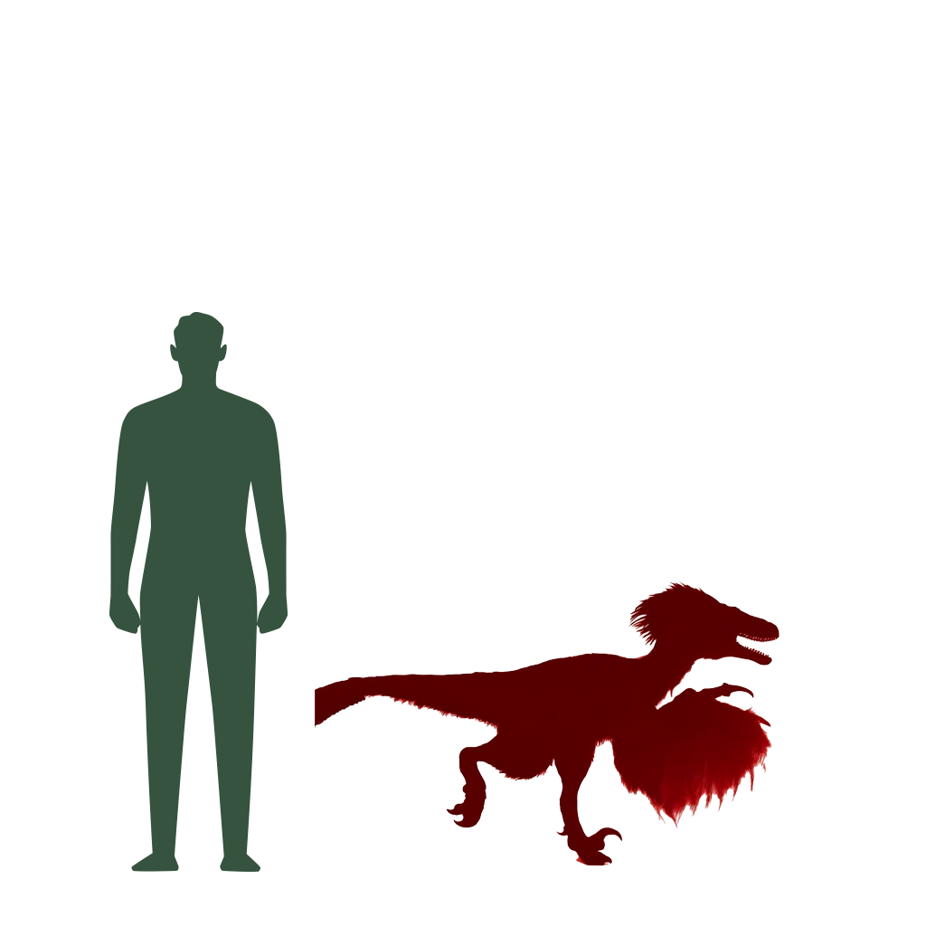 Size Comparison of Dino to a human