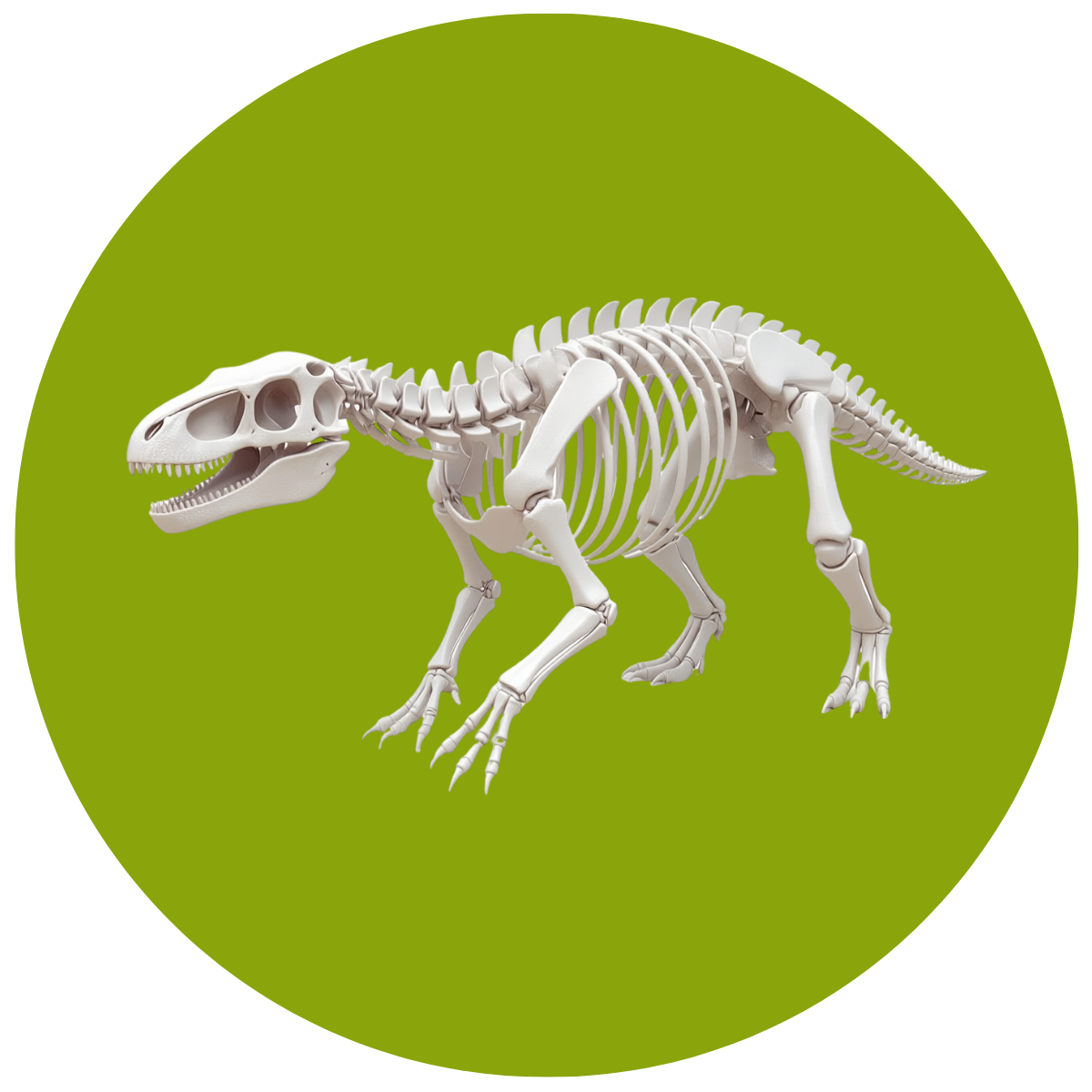 A Skeleton of this dinosaur