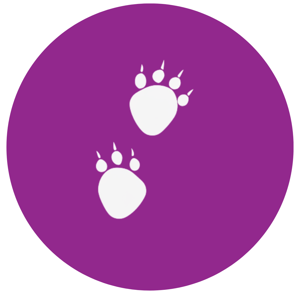 The footprints of this dinosaur