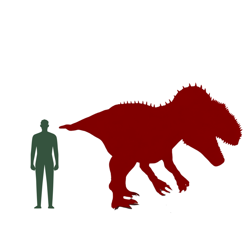 Size Comparison of Dino to a human