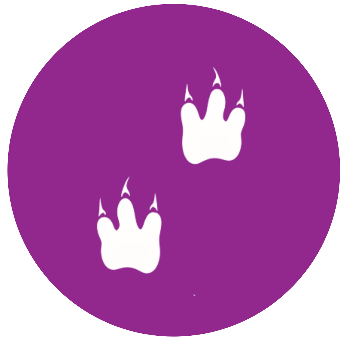 The footprints of this dinosaur