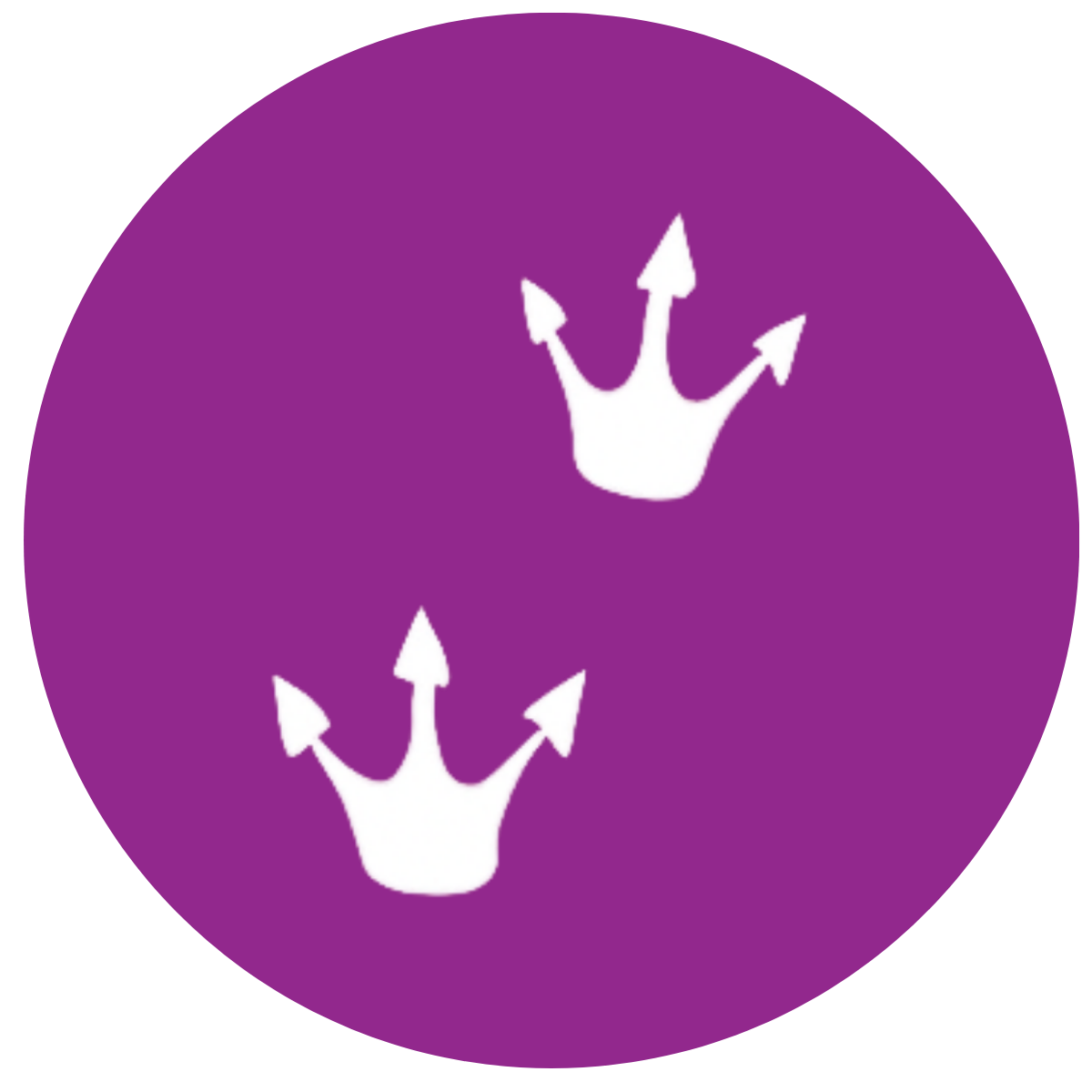 The footprints of this dinosaur