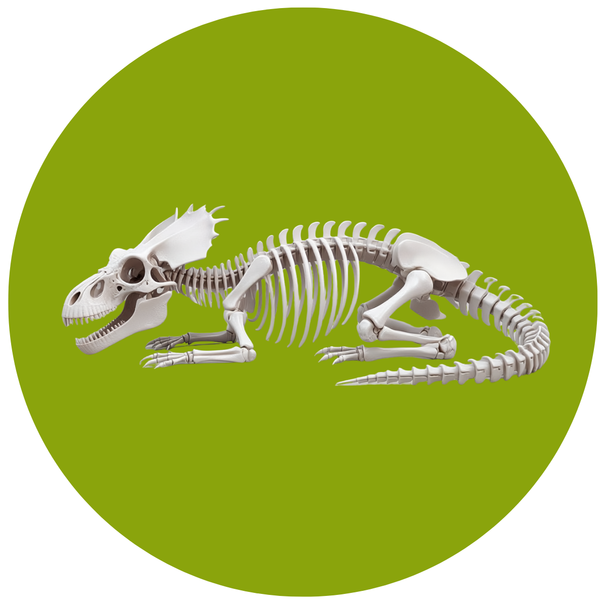 A Skeleton of this dinosaur